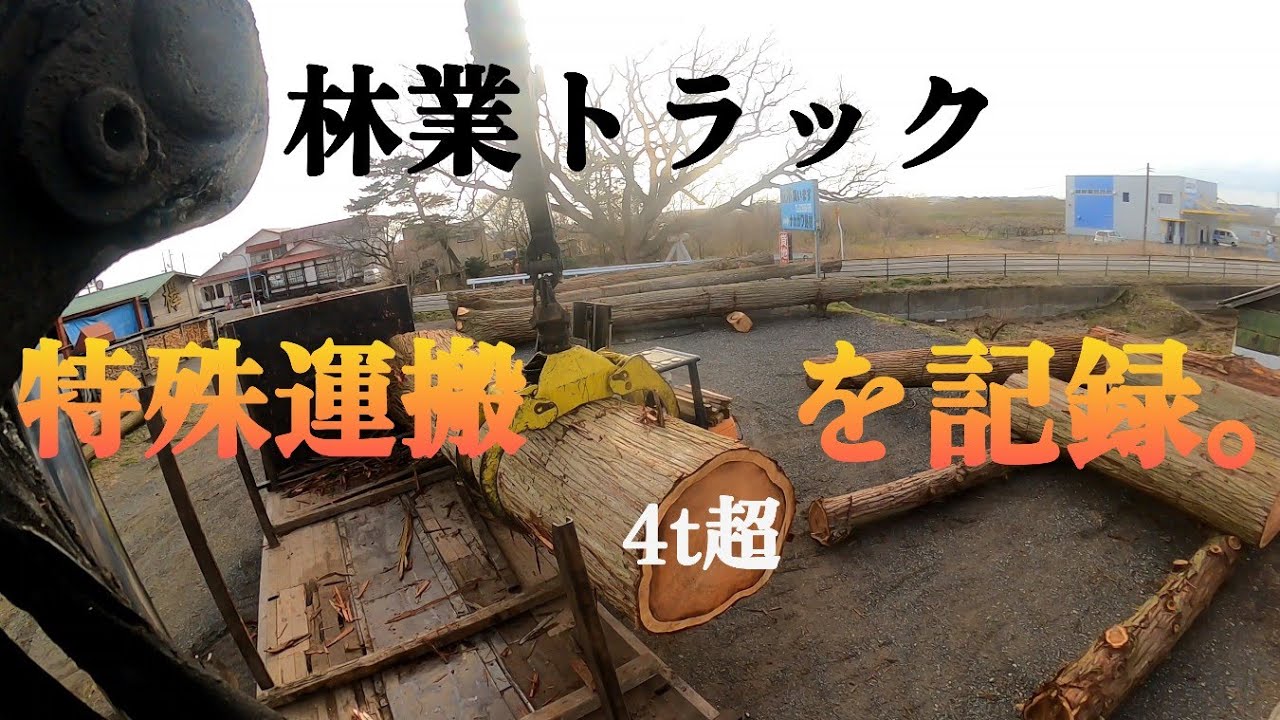 特殊な運搬を記録しました。「林業トラック」