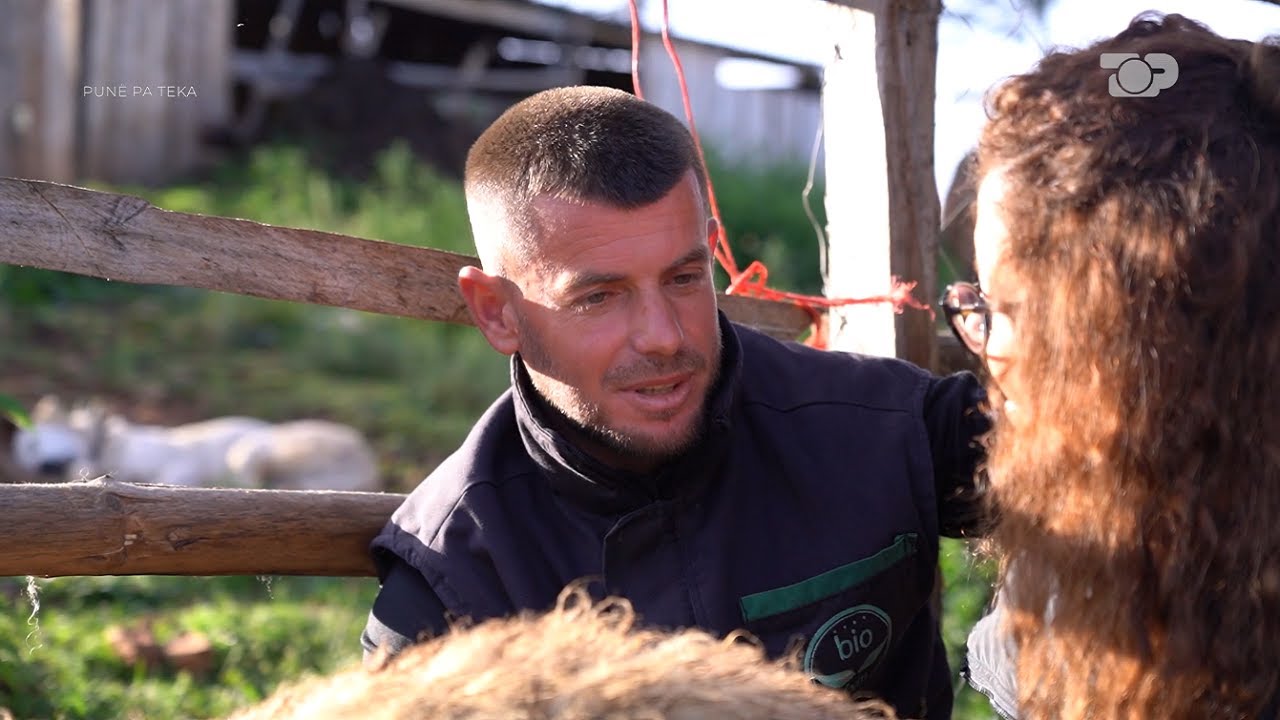 “Greku nuk të linte të ikje, të mbante lekët”, bariu: Rrija me VËSHTIRËSI për 300 euro-Punë Pa Teka