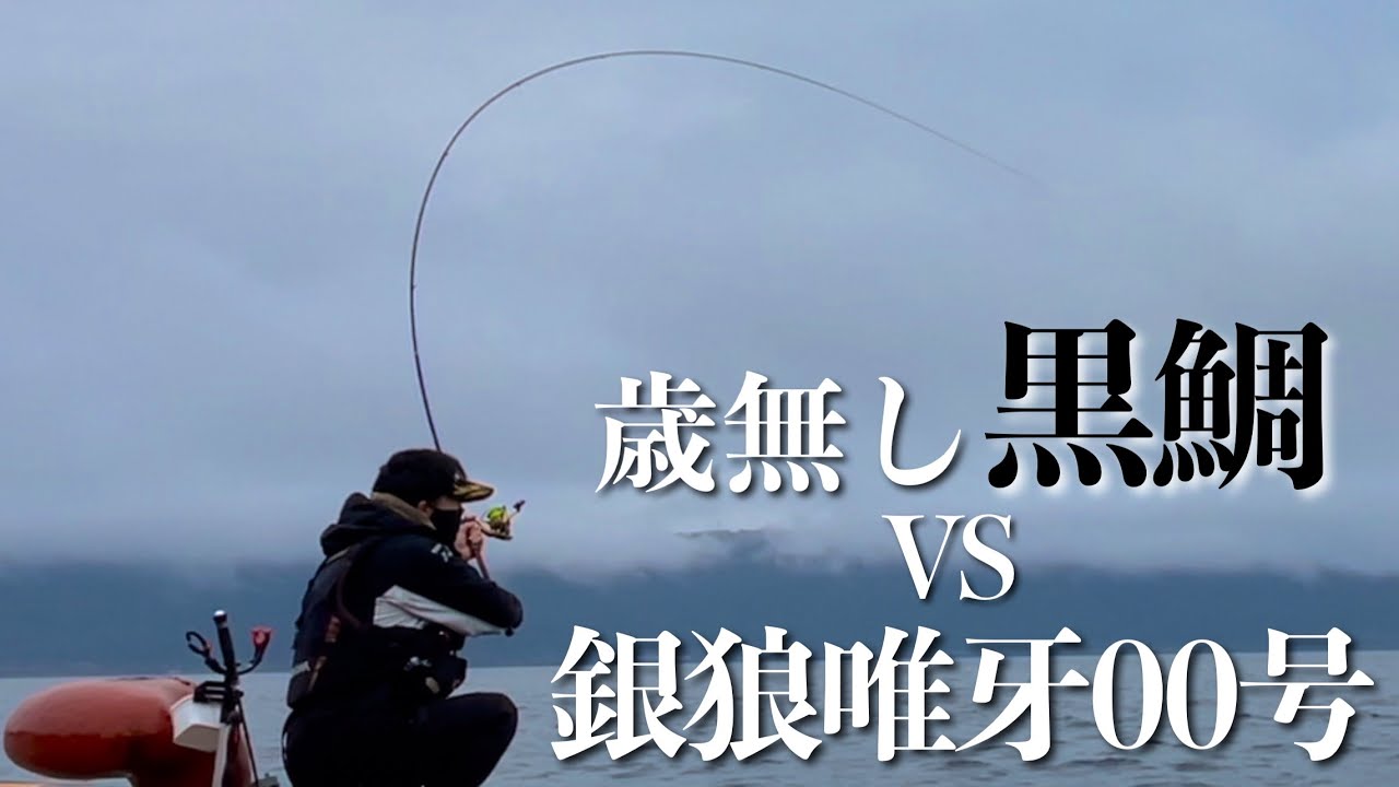 乗っ込みチヌ開幕！銀狼唯牙00号で歳無しに挑む！【黒鯛】【真鯛】【フカセ釣り】