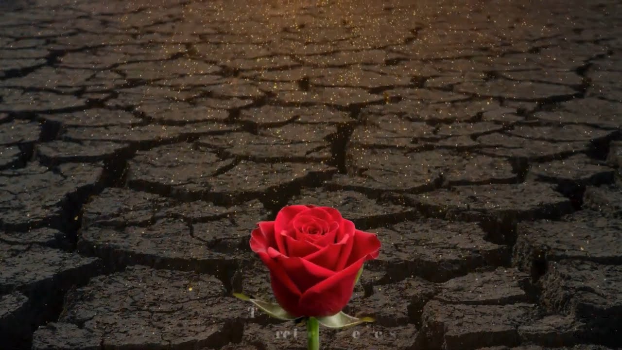 Tears Turning Into Prayer | Emotional Ney Music for Healing & Inner Peace