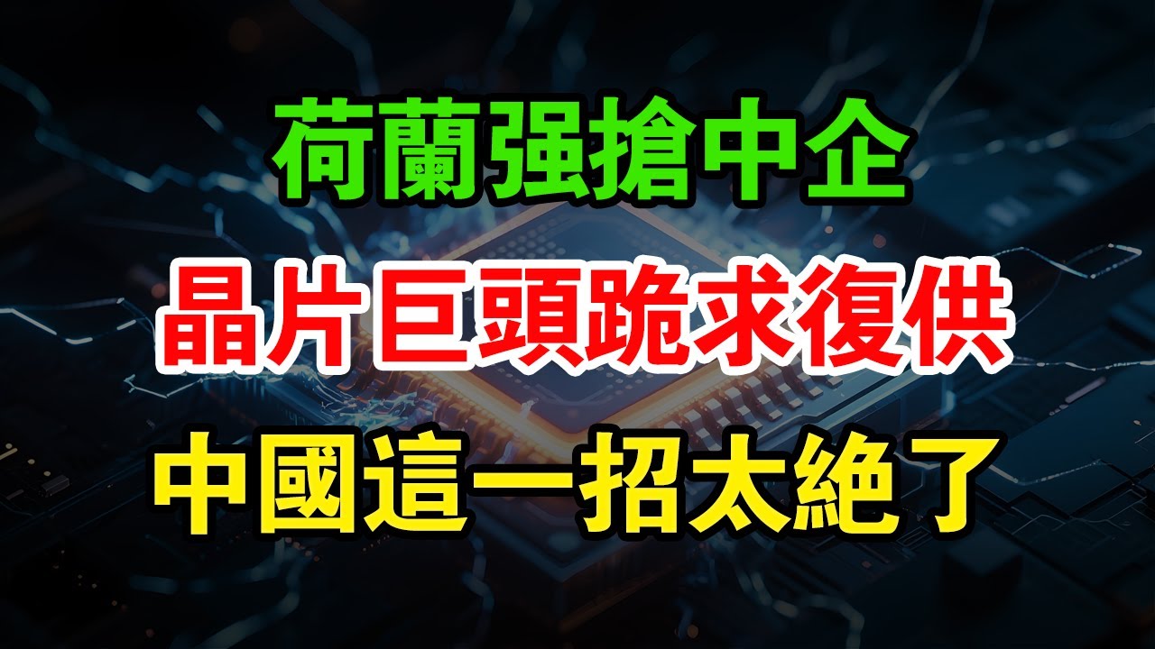 荷蘭終於跪了！中企強搶反殺，晶片巨頭痛求複供，大眾寶馬集體倒戈，中國這一招太絕了！