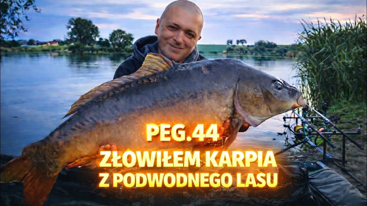 Łowimy w podwodnym Lesie. Waleczne KARPIE / Łowisko Krzaki i KONKURS ...