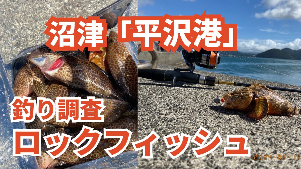 平沢港 釣り調査 沼津 ロックフィッシュゲーム｜オオモンハタ・サツマカサゴ #vlog #釣り初心者