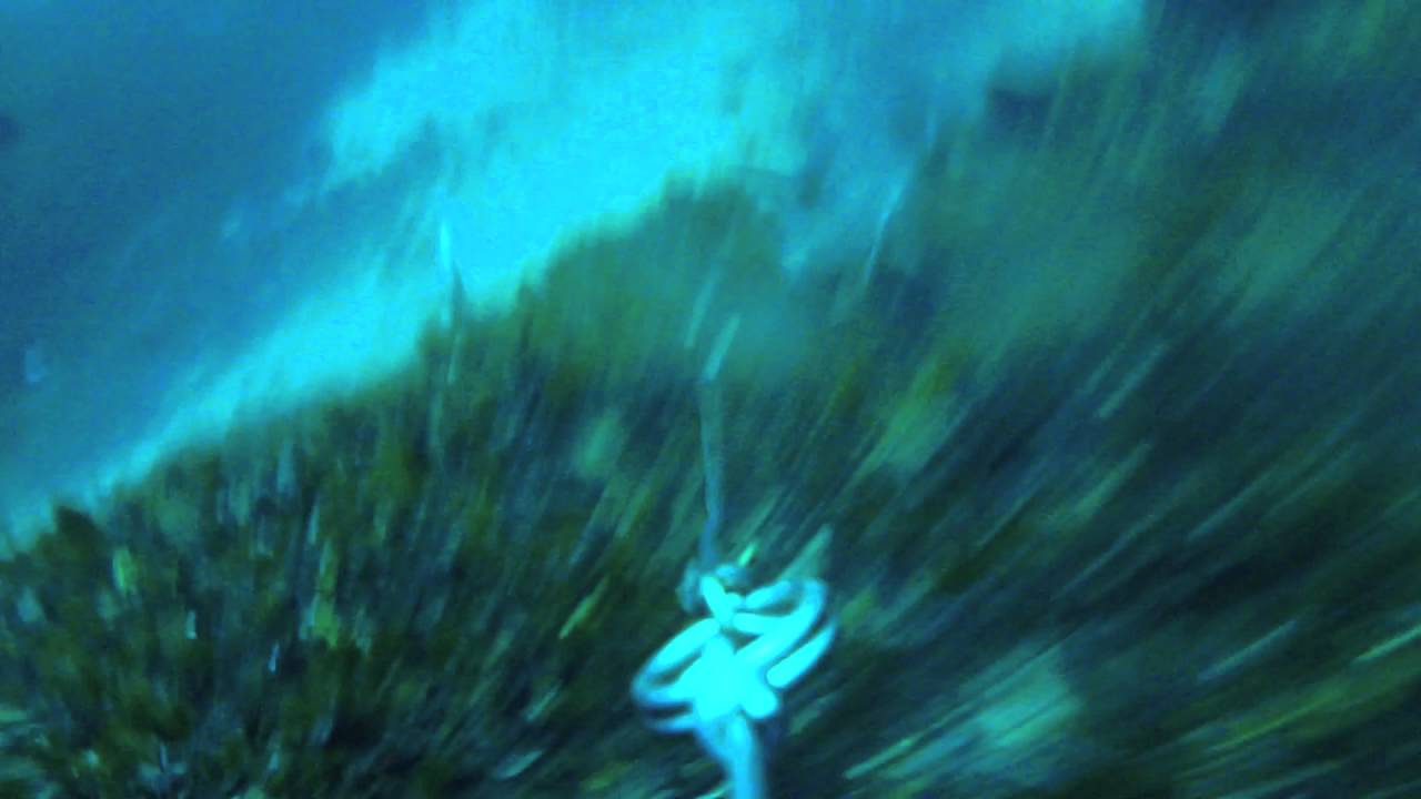 PECHE EN CORSE CAMERA WATERWOLF