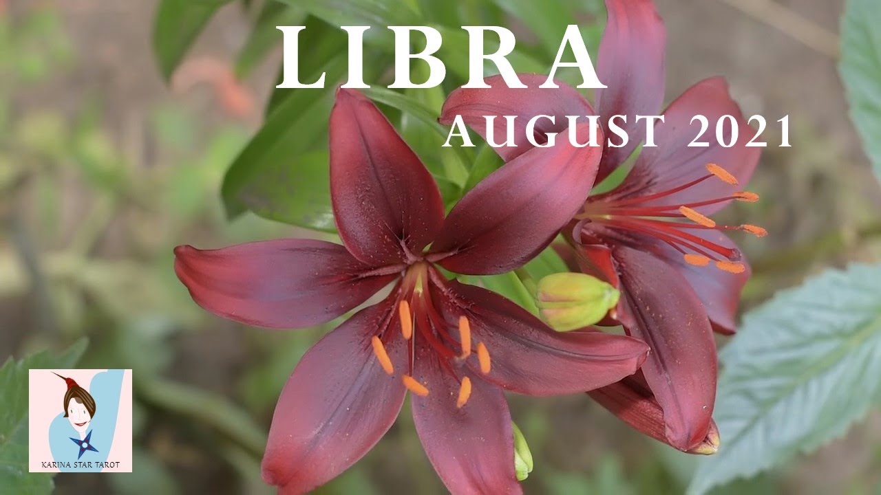 LIBRA: YOUR EX IS GOING TO BE PRACTICALLY ON THEIR KNEES BEGGING U FOR ANOTHER CHANCE! TIMELESS