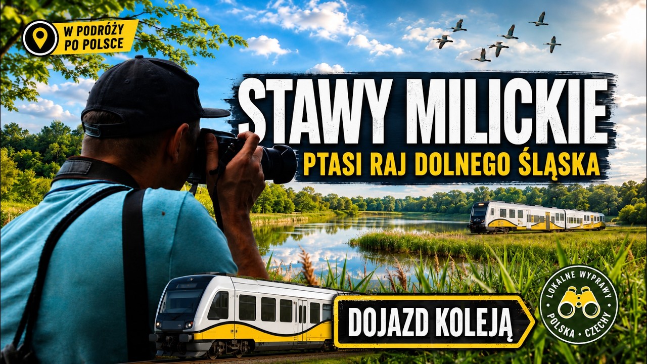 Stawy Milickie: Kompleks Stawno. Polecamy na weekend duże jeziora niedaleko Milicza Ep.017