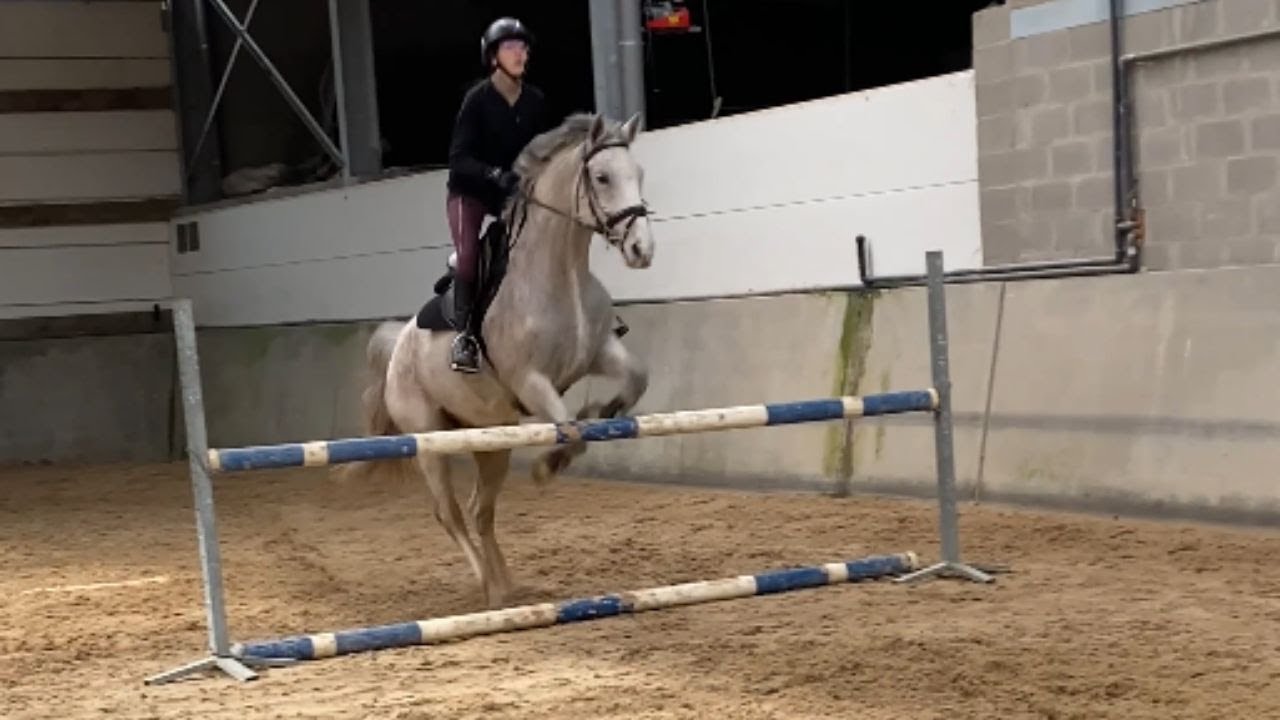 Rider loses control over reins and falls after horse's unsteady jump || WooGlobe