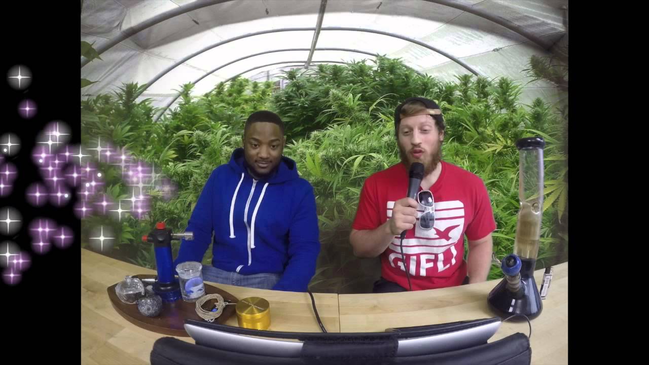 Marijuana TV New Merchandise - The #iGreenLife Movement, Legalize it on Scientific Health Facts