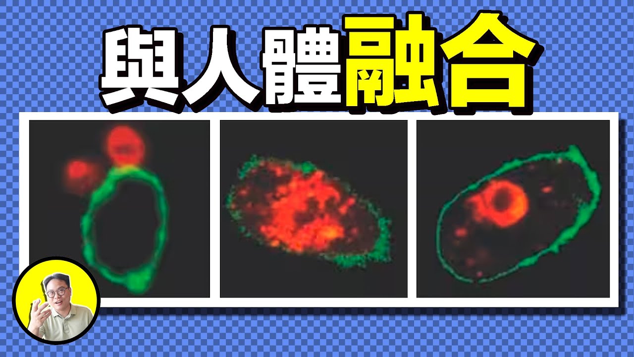 神秘病原體竟與人體細胞融合？這也許是人類永遠無法戰勝的初代魔王......｜總裁聊聊