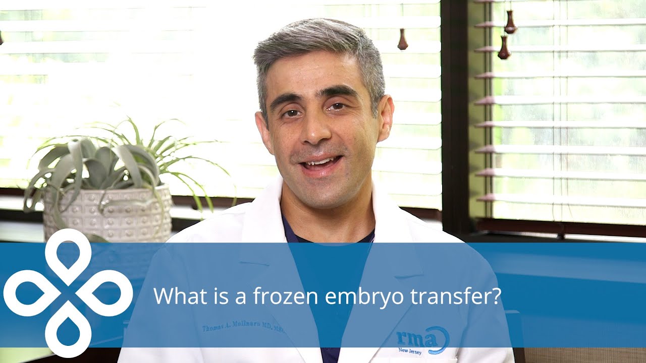 What is a frozen embryo transfer (FET)?