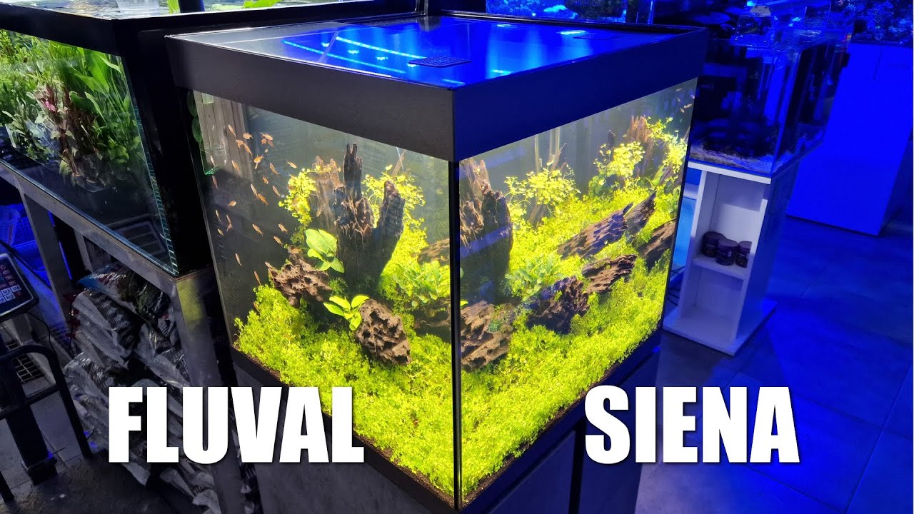 Fluval Siena -Zakładanie Akwarium krok po kroku