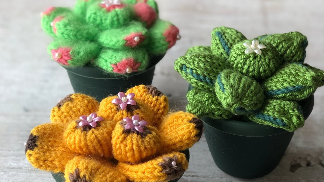 LOOM KNIT Succulent Cactus Plants Pattern - Easy Round / Cirular Project : Loomahat