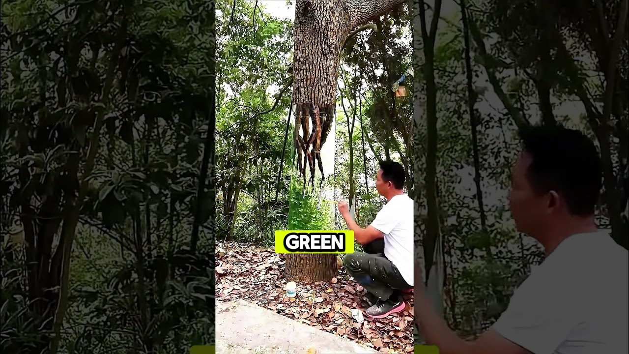 This Man Turn Tree into Magical Art!😱❤