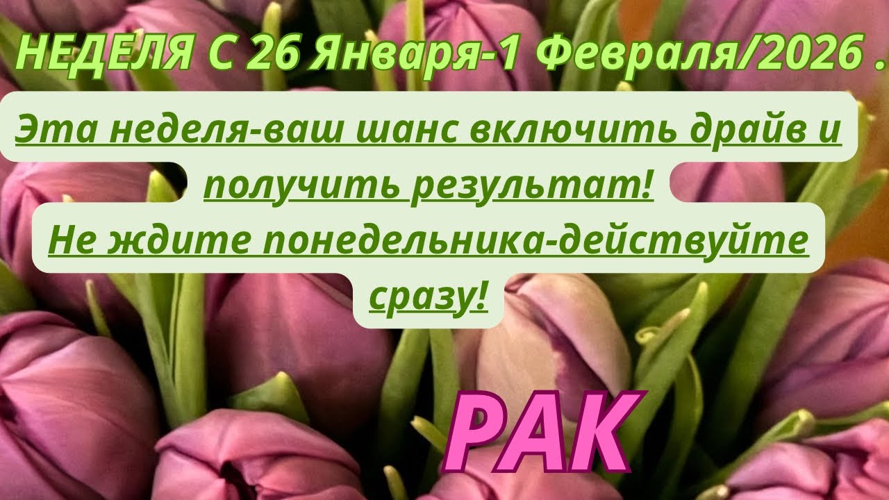 РАК ♋️ ТАРОСКОП С 26 Января-1 Февраля/2026 от Alisa Belial.