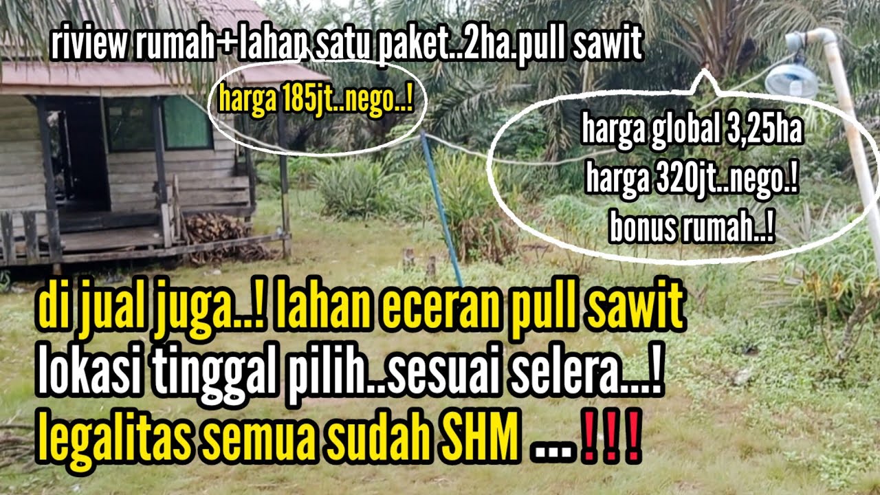riview rumah+ pekarangan1paket.ada juga lahan jual eceran.semua sudah ada sawitnya..ketapang kalbar