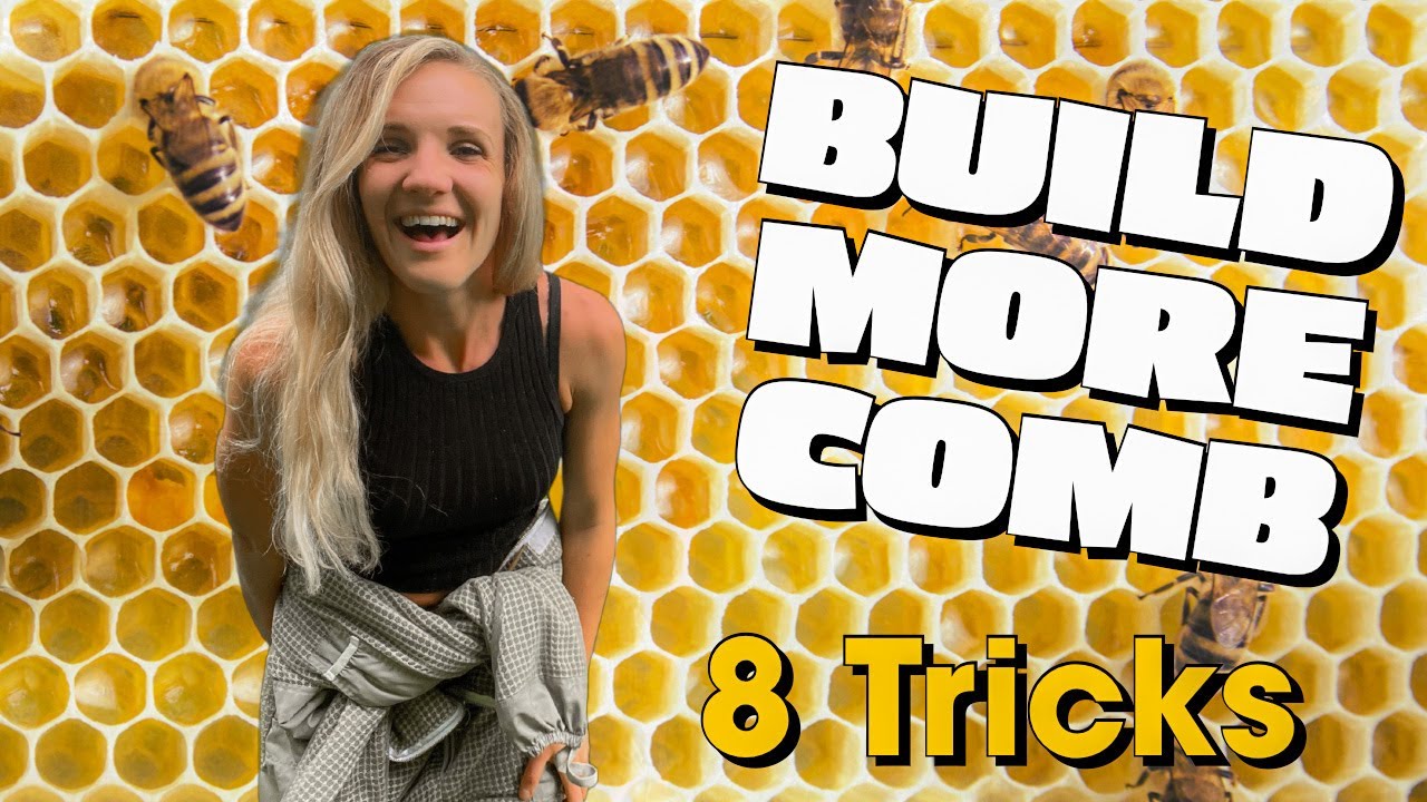 8 Tricks To Encourage Your Bees To Build More Comb EVEN IN JULY! #beekeeping