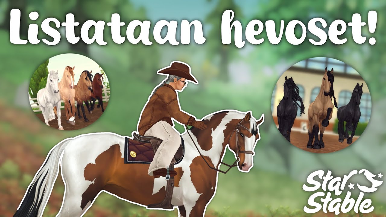 Listataan hevoset! | SSO Suomi