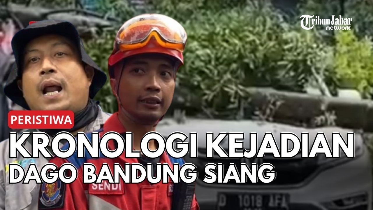 Kronologi Lengkap Mobil Tertimpa Pohon di Dago Bandung, Keterangan Resmi Damkar