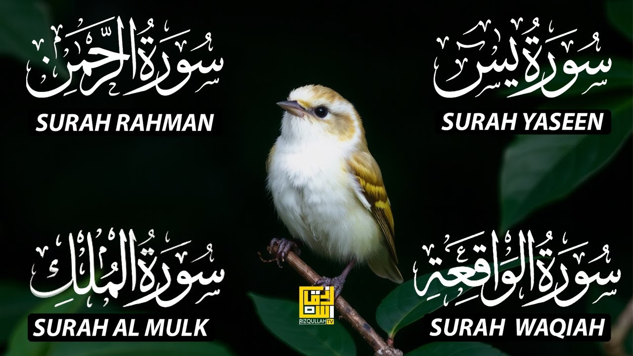 Beautiful Surah Yaseen (Yasin) | Surah Rahman | Surah Waqiah | Surah Mulk EP68