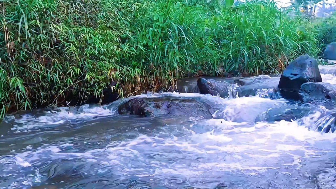 River Water Ambience for Calm Mind