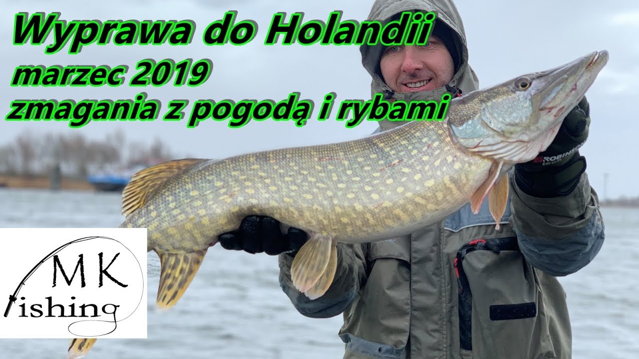 WYPRAWA DO HOLANDII 2019 zmagania z pogodą i rybami | szczupak, sandacz, okoń, wędkarstwo-spinning