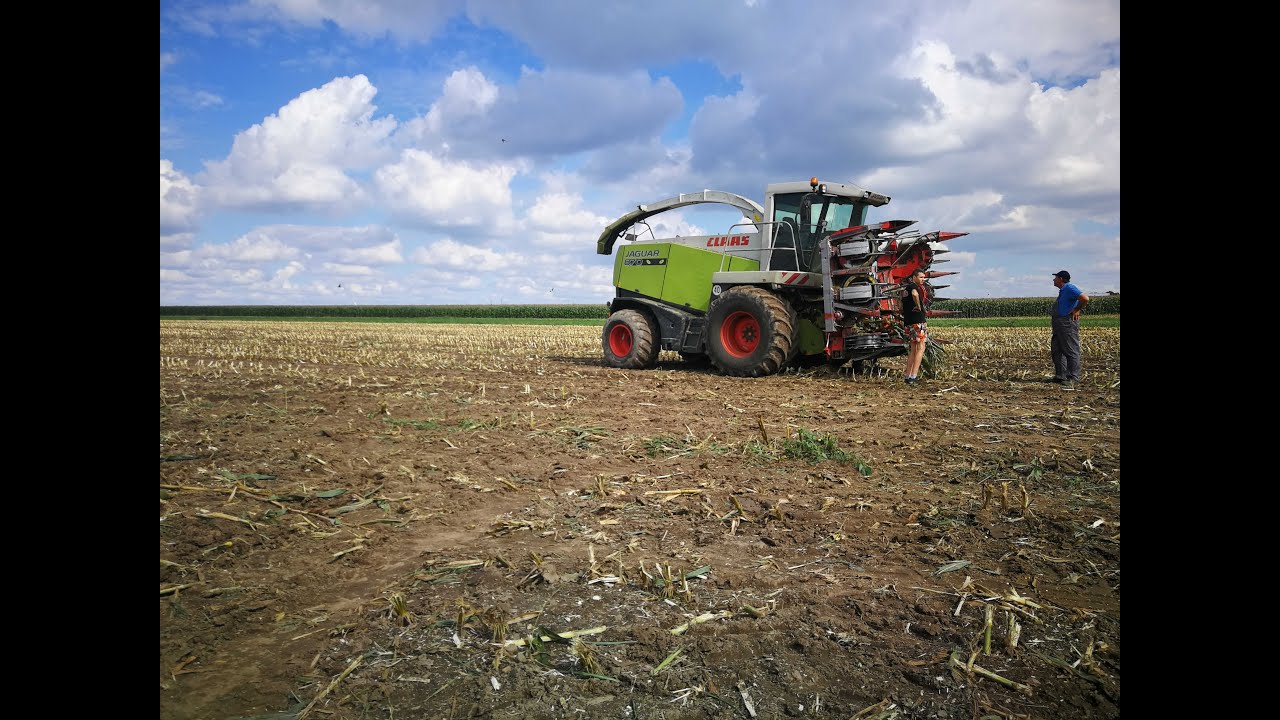 🌽🚜🌽💪KUKURYDZA 2020💪🌽🚜🌽 3xURSUS, 2xZETOR, 2xCLAAS, 1xMANITOU