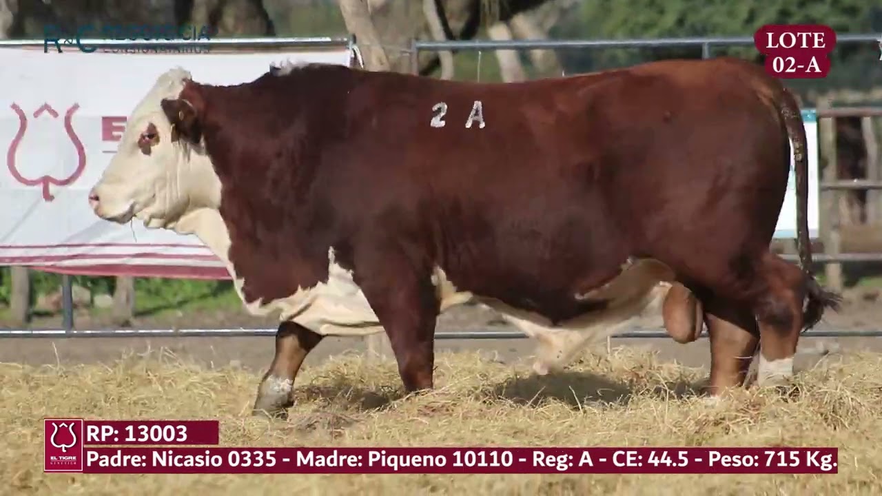 LOTE 02A
