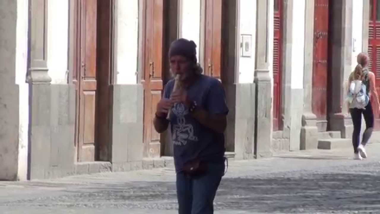 Las Palmas de Gran Canaria : La Vegueta y Triana