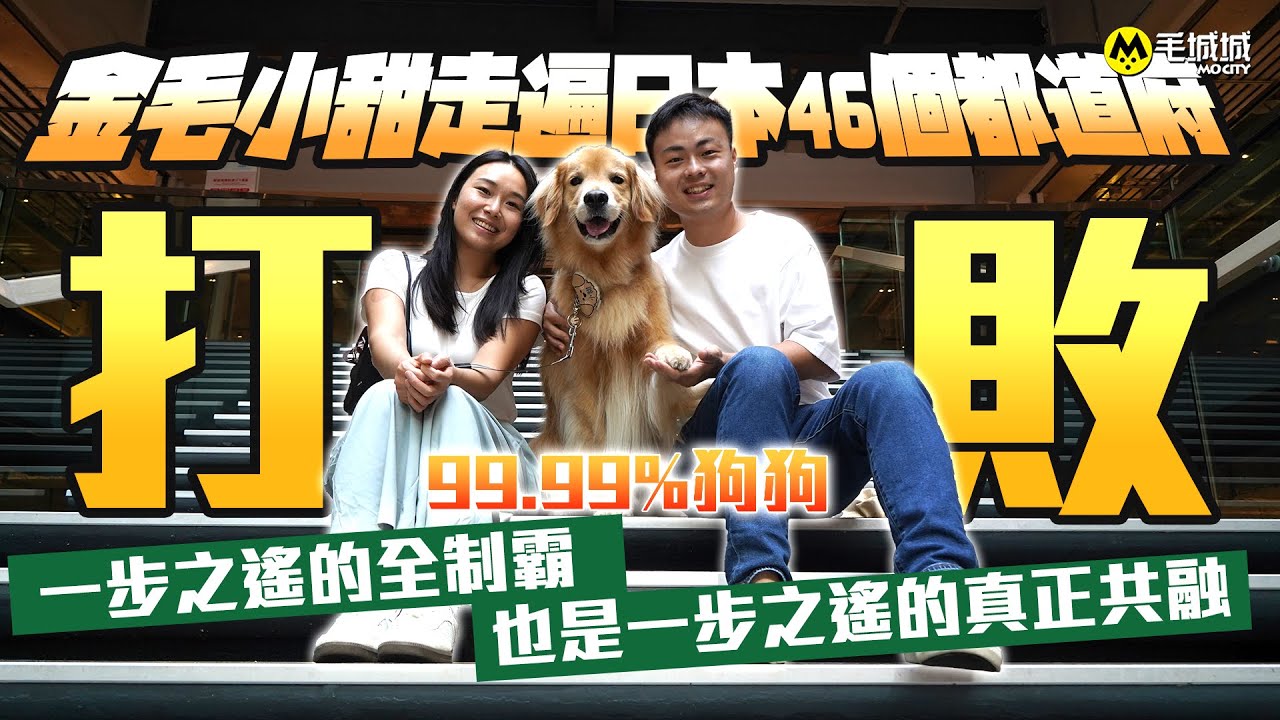 【打敗99.99%狗狗】金毛小甜走遍日本46 個都道府縣｜一步之遙的全制霸，也是一步之遙的真正共融｜毛城城MoCity