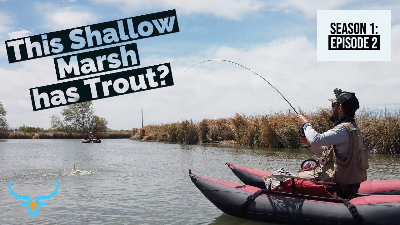 This SHALLOW MARSH has TROUT? FLY FISHING from a FLOAT TUBE in a desert oasis!