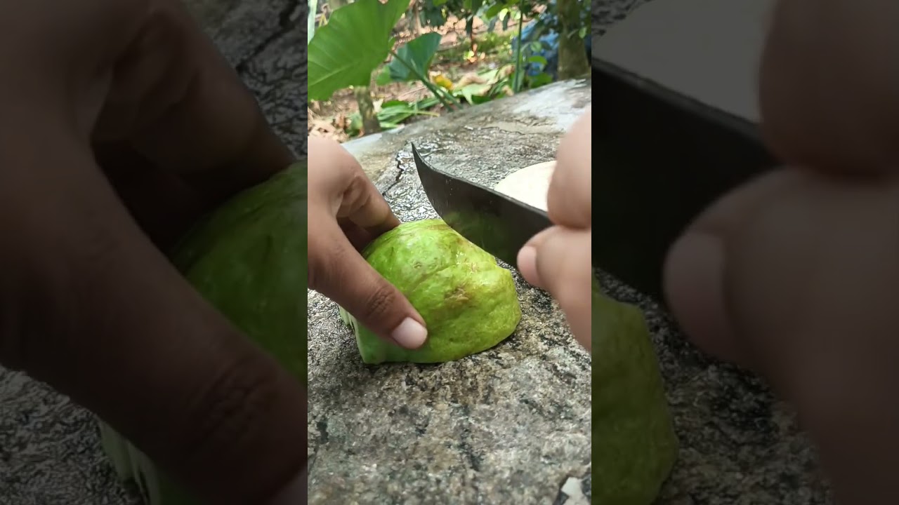 Guava pickle #guava #guavas #food #foodievlogger