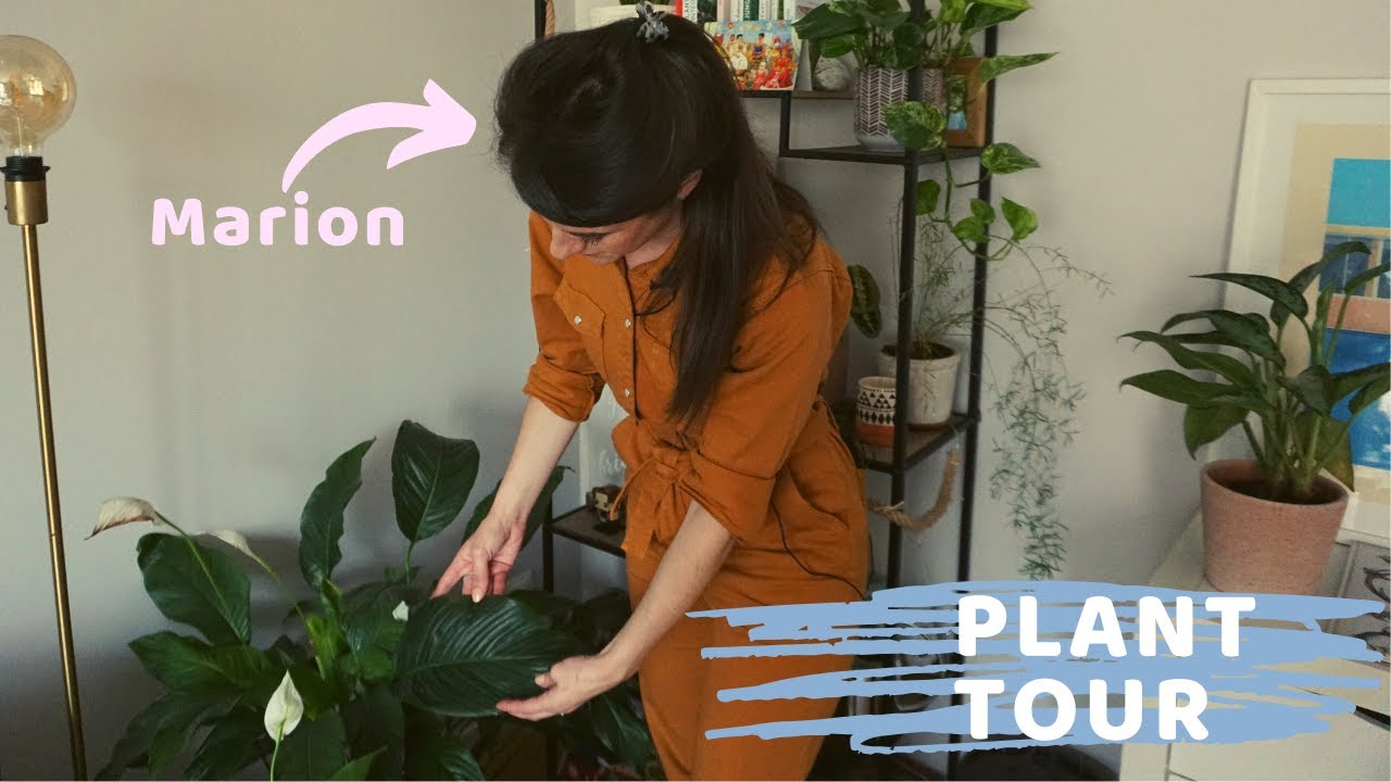 PLANT TOUR  85 PLANTES  : A la rencontre des plantes addict épisode 4
