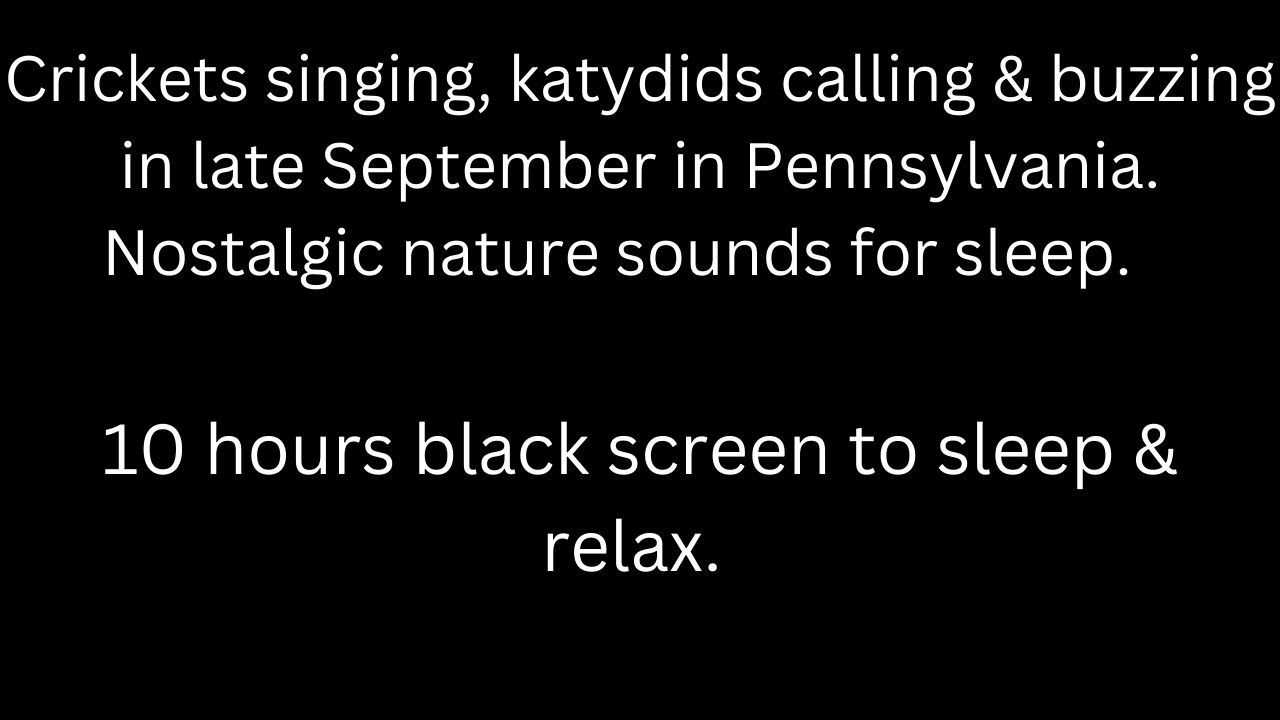 Crickets singing katydids calling & buzzing at night, black screen sleep relax 10 hour cricket sound