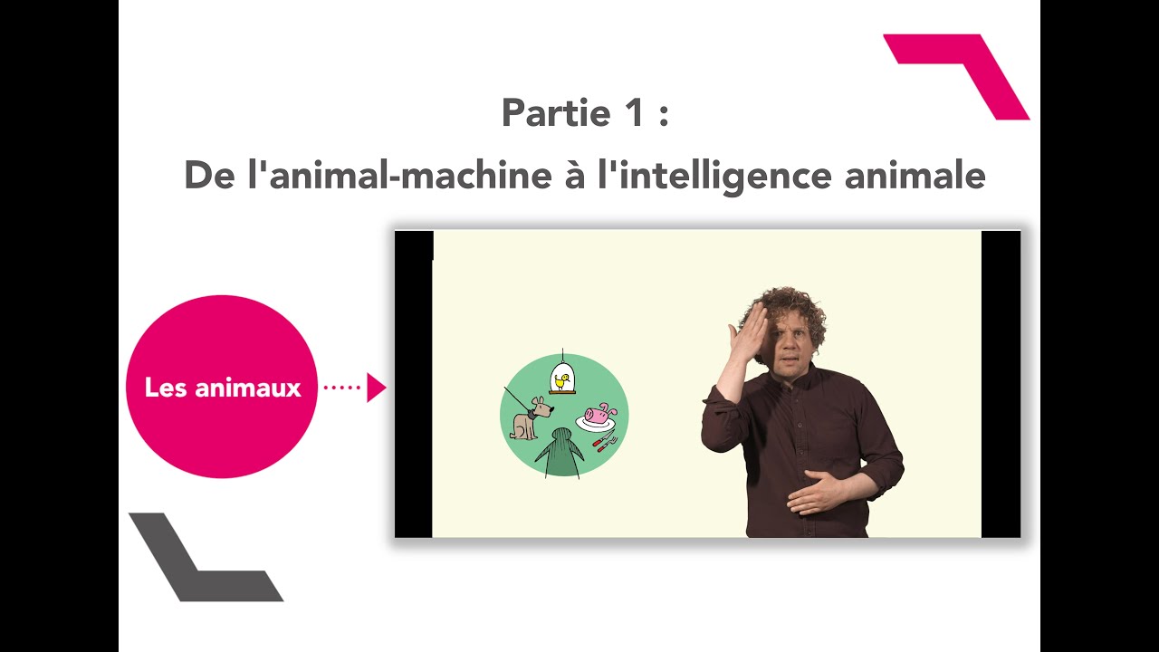 Les animaux - 1ère partie : De l'animal-machine à l'intelligence animale
