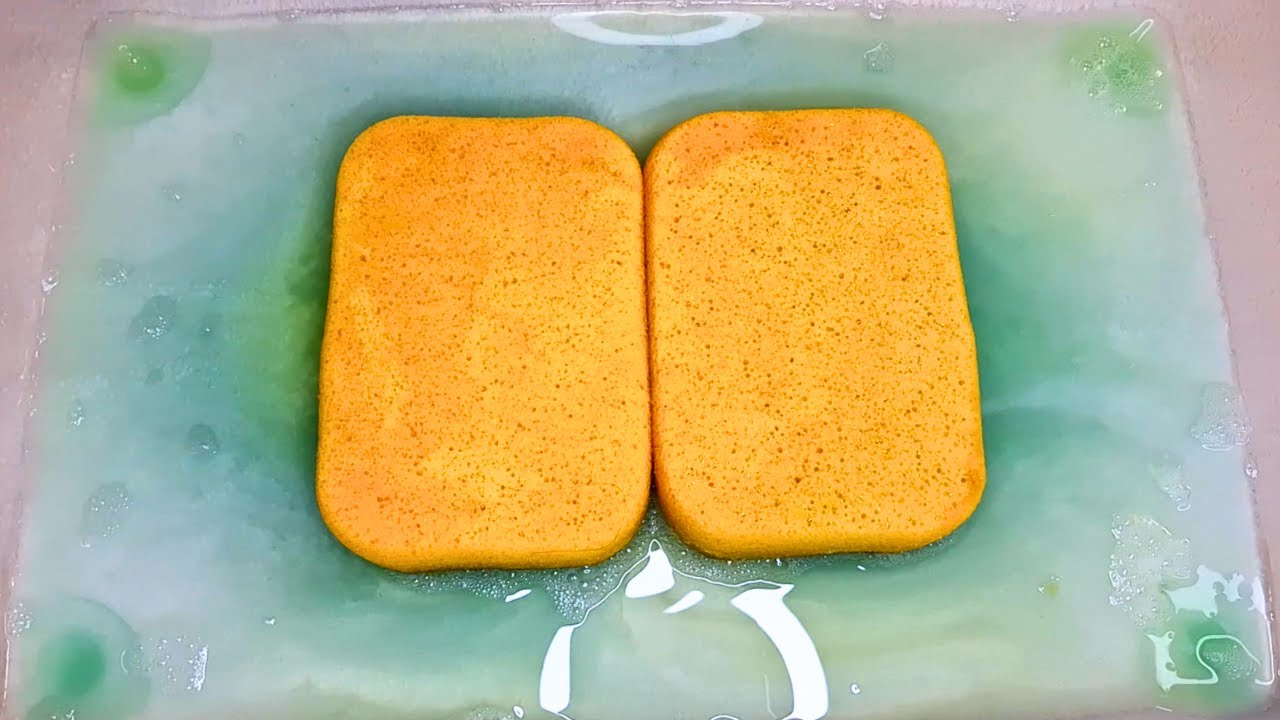 ASMR | Breaking in New Armaly ProPlus Sponges #roadto9k