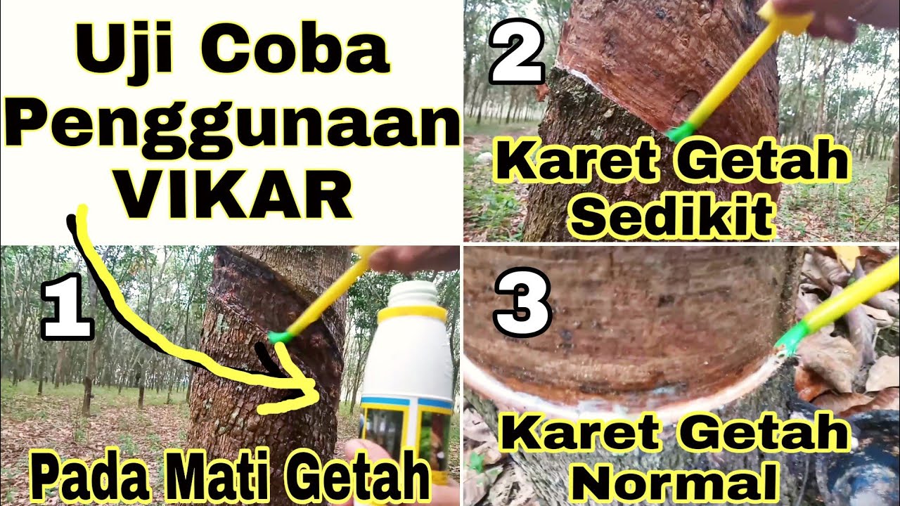 Uji Coba Penggunaan Vikar Pd Karet REM Pecah | Aplikasi Pd Mati Kulit, Getah Sedikit & Karet Normal