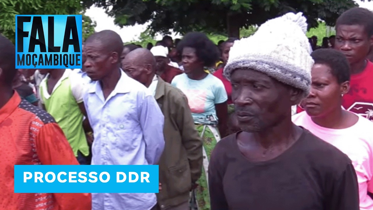 RENAMO desconhece os 130 homens que se apresentaram como ex guerrilheiros na província da Zambézia