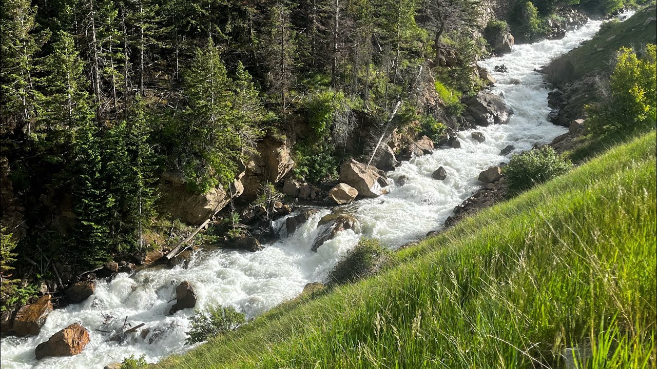 “Pure Mank” | CLEAR CREEK EXPEDITION @SILVERPLUME