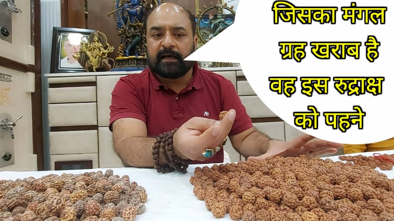 3 मुखी रुद्राक्ष के प्रकार और जानकारी #haridwarmarket #haridwar @travelingdeewane