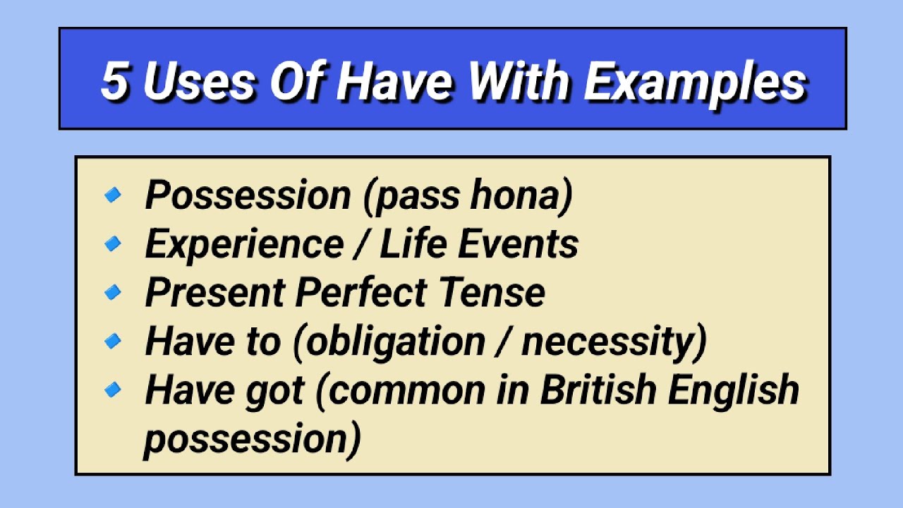 Use of “Have” In English Grammar With Examples | Fluent English Era
