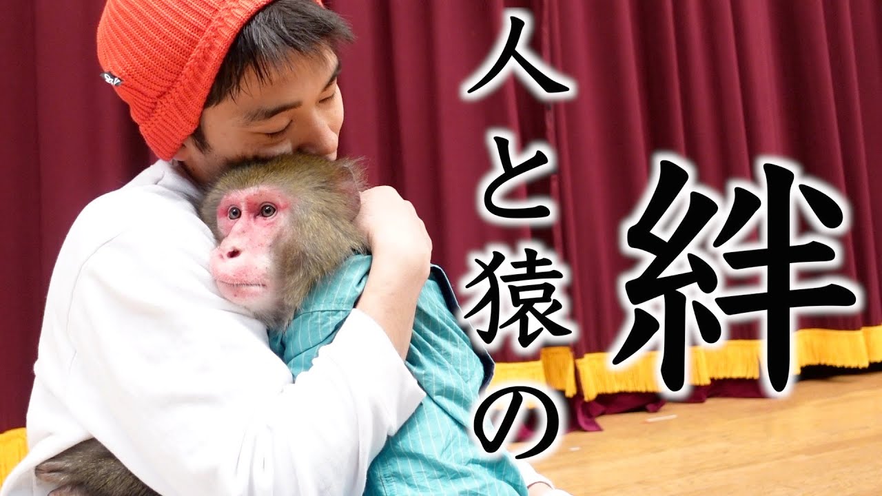 14年一緒にいるお猿さんに「大好き」だと伝えたら…返ってきた行動が泣ける。
