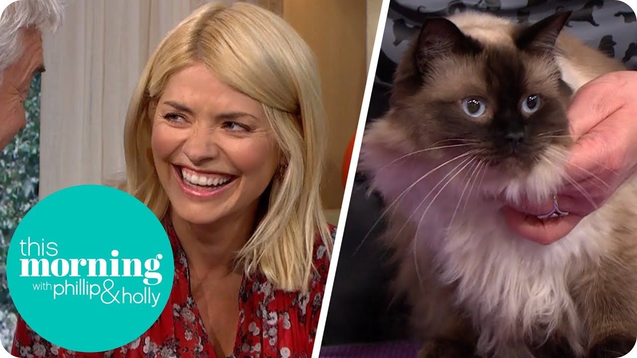 Holly Gets a Lesson in How to Groom Her Cat | This Morning