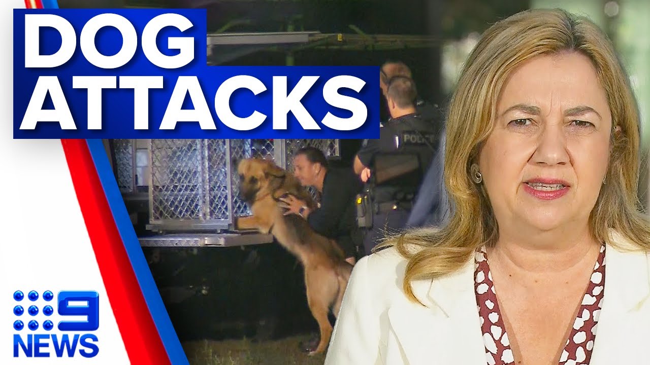 Spate of dog attacks in Queensland | 9 News Australia