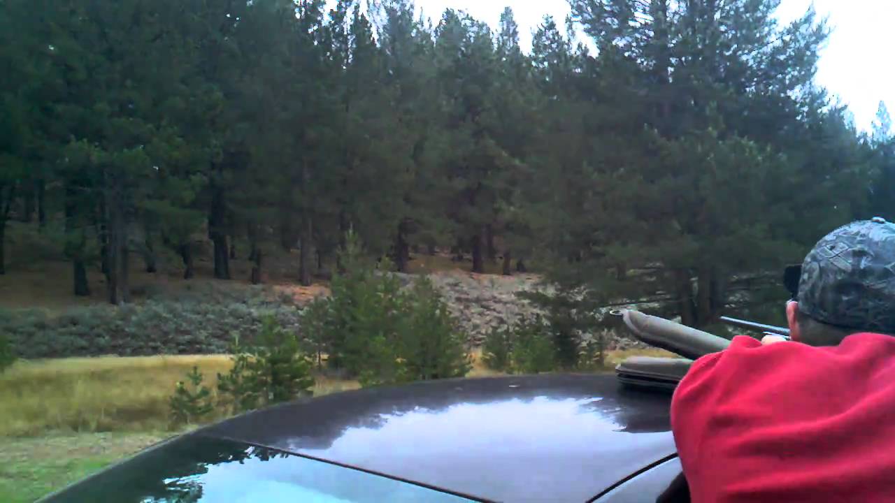 8mm remington magnum vs boulder