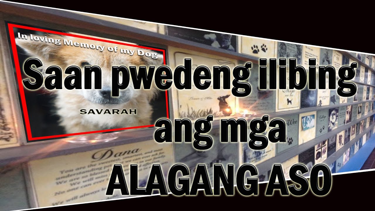 Libingan ng mga Alagang PET