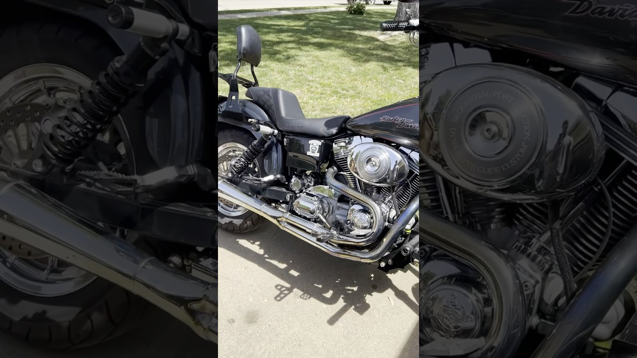 Fresh new Saddlemen seat #harleydavidson #harley #dyna #seat #motorcycle #ride