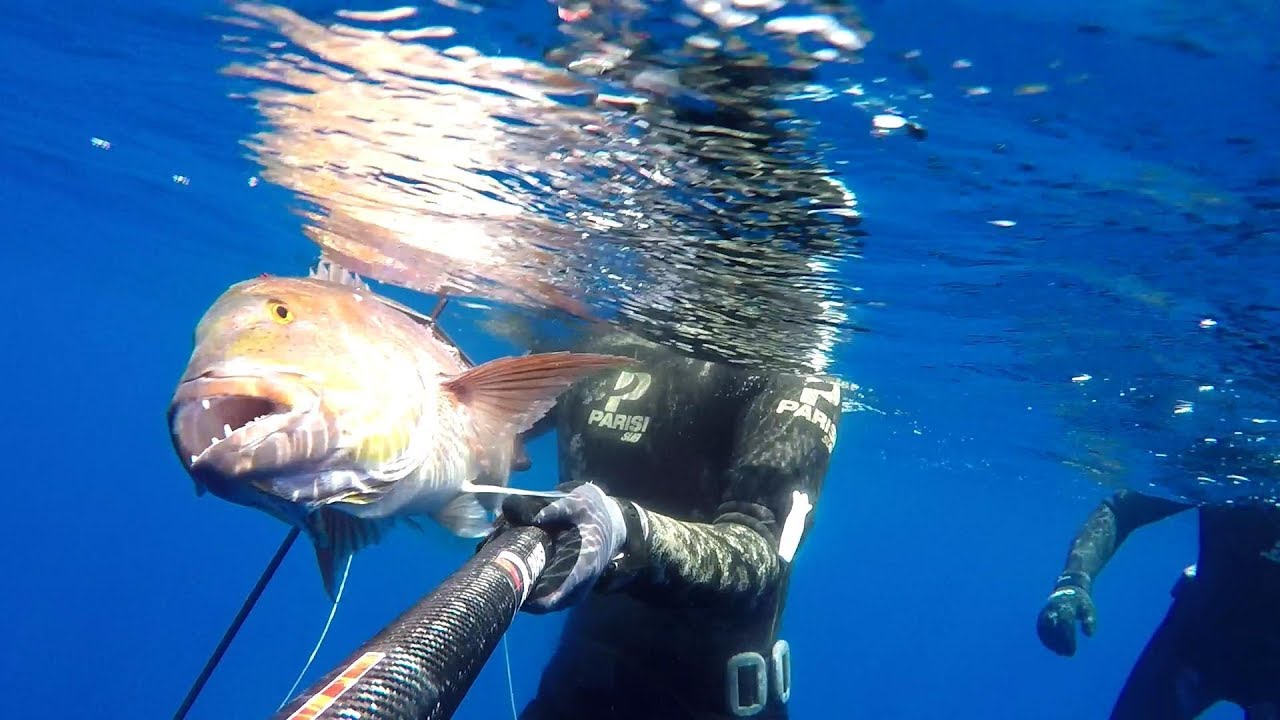 Pesca al dentice, i consigli di Franco Villani e incontro finale da 30 kg