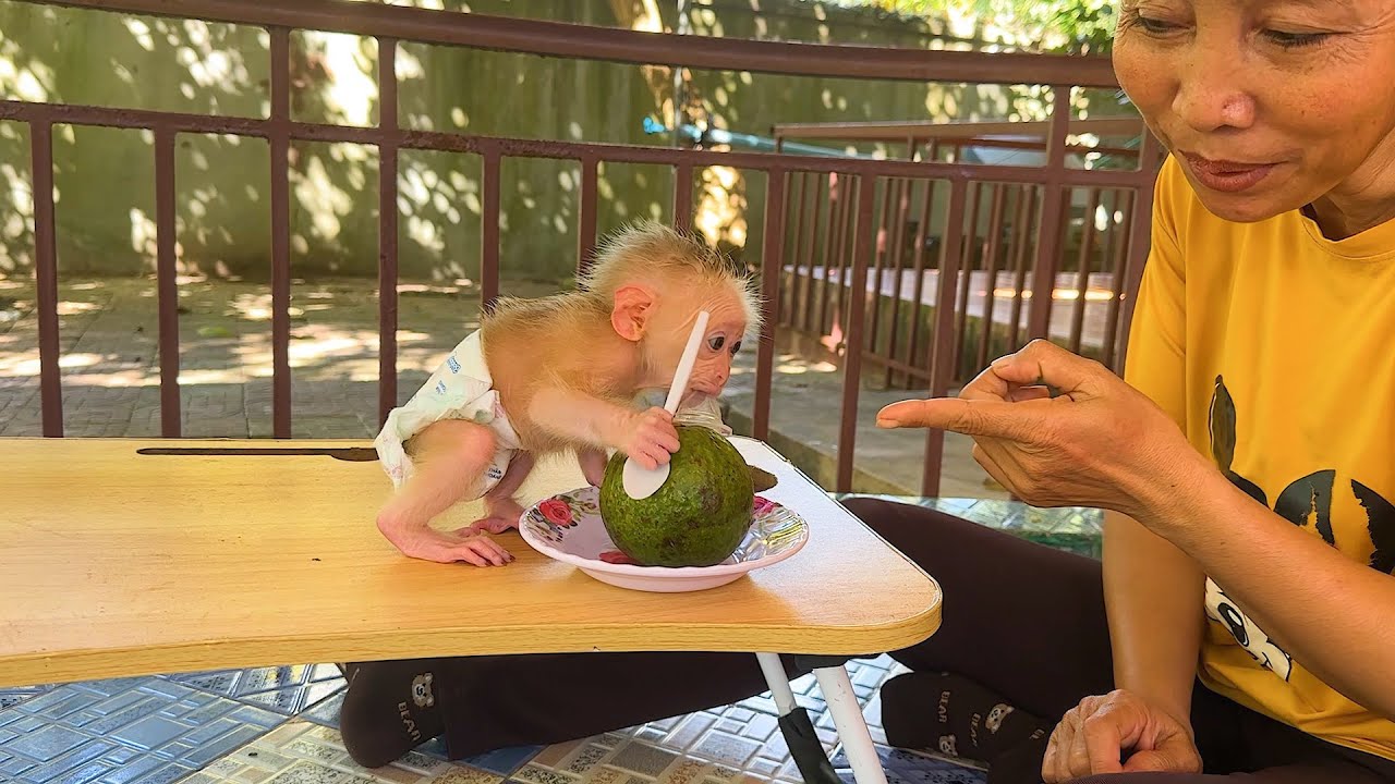 Mommy Laughing While PorPor Already  Hold The Spoon  Waiting Mom