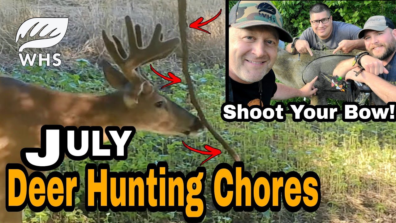 July Deer Hunting Chores