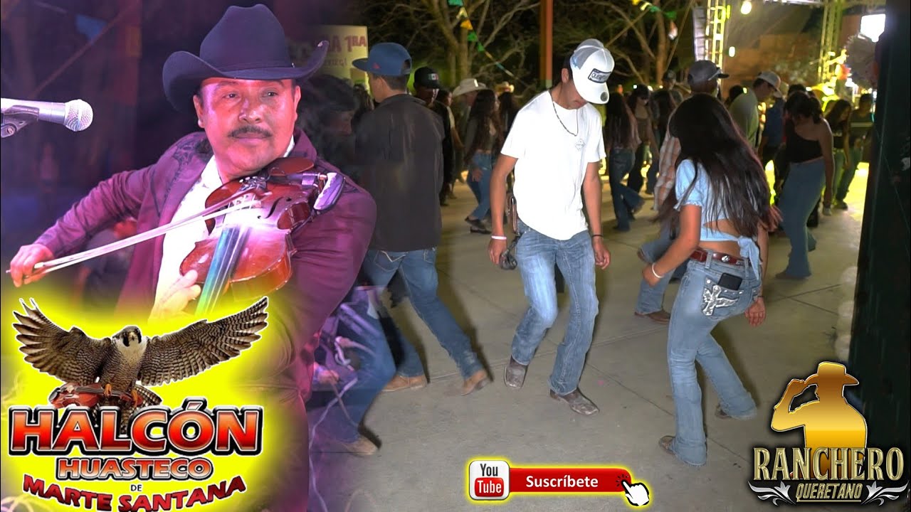 Halcon Huasteco - El taconcito la azucena bella y el desterrado